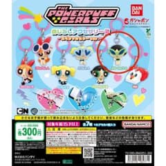 パワーパフガールズ　めじるしアクセサリーのサムネイル