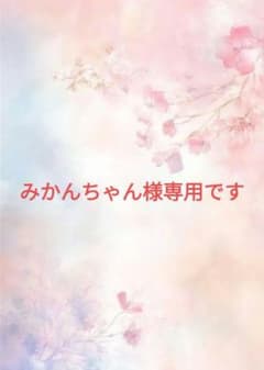 みかんちゃん様 専用です - メルカリ