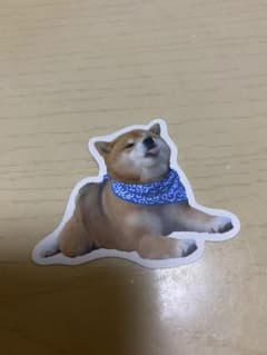 柴犬 ステッカー 青いバンダナのサムネイル