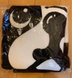浜崎あゆみ　ブランケットのサムネイル