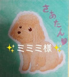 ミミミ様ご確認ページ✨のサムネイル
