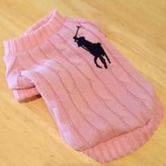 わんちゃんの服☆のサムネイル