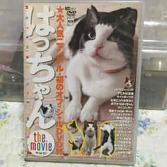 はっちゃん ハチワレ猫のDVDのサムネイル
