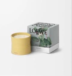 LOEWE（ロエベ） ハニーサックル キャンドル Sサイズ - メルカリ
