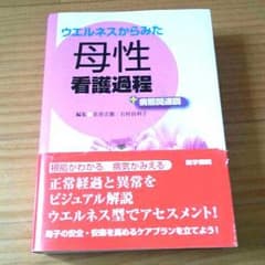 母性看護過程のサムネイル