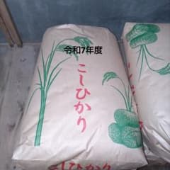 コシヒカリ 白米 25キロ - メルカリ