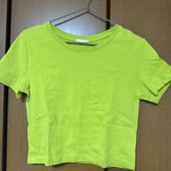ライムグリーン クロップド半袖Tシャツのサムネイル
