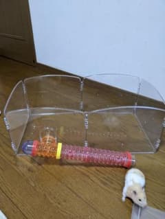 ハムスターサークルのサムネイル