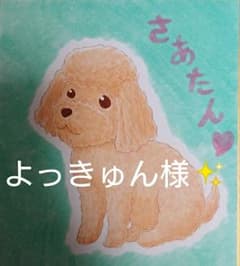 よっきゅん様ご確認ページ✨のサムネイル