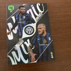Panini TC222 インテル トレーディングカードのサムネイル