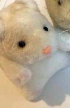 ハル様専用のサムネイル