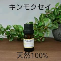天然100% 精油 キンモクセイ エッセンシャルオイル アロマオイルのサムネイル