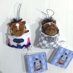 ドウデュース トウカイテイオー 2点