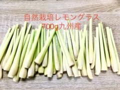 自然栽培レモングラス700g九州産のサムネイル