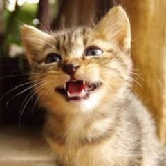 ROKETさん専用！のサムネイル