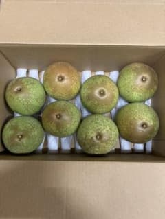 梨のサムネイル