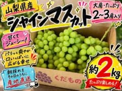 山梨県産 シャインマスカット 約2kg 2〜3房 農家直送 家庭用のサムネイル