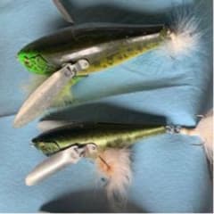 専用です！のサムネイル