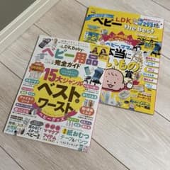 お値下げ中❗️美品LDKベビー用品完全ガイド2冊セット