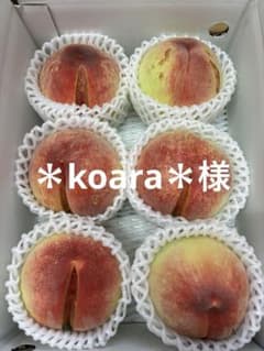 専用のサムネイル