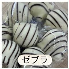 ロイスダール アウトレット ゼブラチョコ