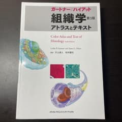 kuma様専用のサムネイル