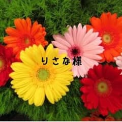 ★りさな様専用★→専用完了のサムネイル