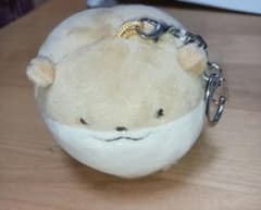 なんでもいきもの カワウソ ぬいぐるみマスコット ガチャのサムネイル