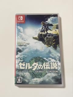 젤다의 전설 티어즈 오브 더 킹덤 Switch