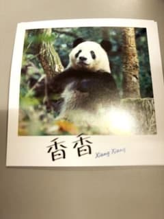 パンダのすごい世界 香香 シャンシャン 入場者 特典 - メルカリ