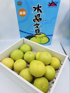 文旦水品高知県産 温室 水晶文旦 約3.0kg (8〜13玉) 家庭用 訳ありのサムネイル