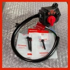 m46973545241_1.jpg?1771986566