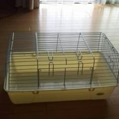 ももさん専用のサムネイル