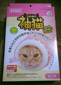 袖猫のサムネイル