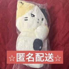 ZEROBASEONE リッキー リニニ ぬいぐるみバッグ - メルカリ