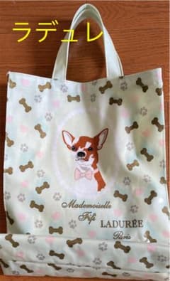 ラデュレバッグのサムネイル