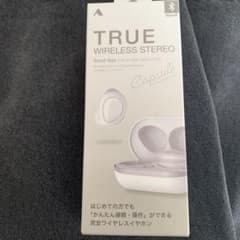 TRUE ワイヤレスイヤホンのサムネイル