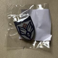 BUMP OF CHICKEN ピンバッジのサムネイル