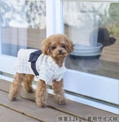 ロペピクニック【DOG】チェック柄浴衣　ホワイト系のサムネイル