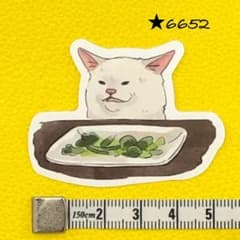 6652 [신품] 스티커 고양이 고양이 고양이 CAT 흰 고양이 흰 고양이 일상