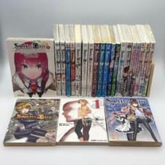 STEINS;GATE 本編+4大外伝 完結セット 全23冊【シュタゲ】 - メルカリ
