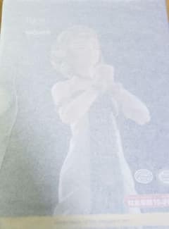 figma 젤다 티어스 오브 더 킹덤 ver.