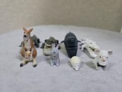 動物フィギュアセット　シャクレルプラネットシリーズ　8個まとめ売りのサムネイル