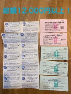 【総額12.000円以上】リザンシーパークホテル　割引券　チケット　クーポンのサムネイル