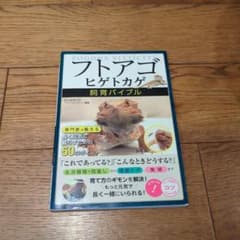 フトアゴヒゲトカゲ　飼育バイブルのサムネイル