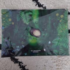 My Neighbor Totoro A4 Clear File - Totoro's Bed