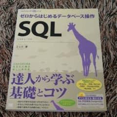 SQL : ゼロからはじめるデータベース操作のサムネイル