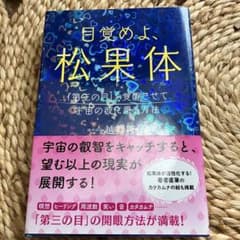 目覚めよ、松果体 越智啓子のサムネイル