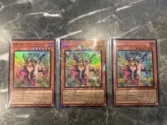 魔術師の弟子　ブラックマジシャンガール　3枚セットのサムネイル