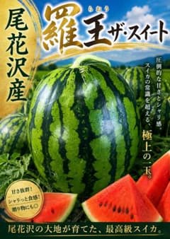 尾花沢産 てっちゃんスイカ！のサムネイル